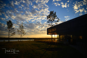 Shelby_Farms_II